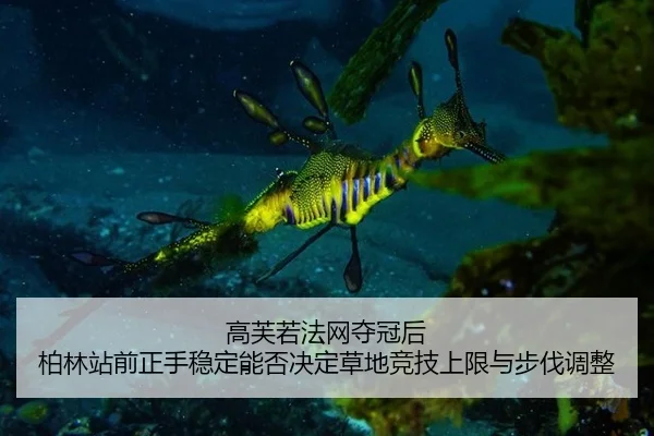 gao-fu-ruo-fa-wang-duo-guan-hou-bo-lin-zhan-qian-zheng-shou-wen-ding-neng-fou-jue-ding-cao-di-jing-ji-shang-xian-yu-bu-2-476.jpg